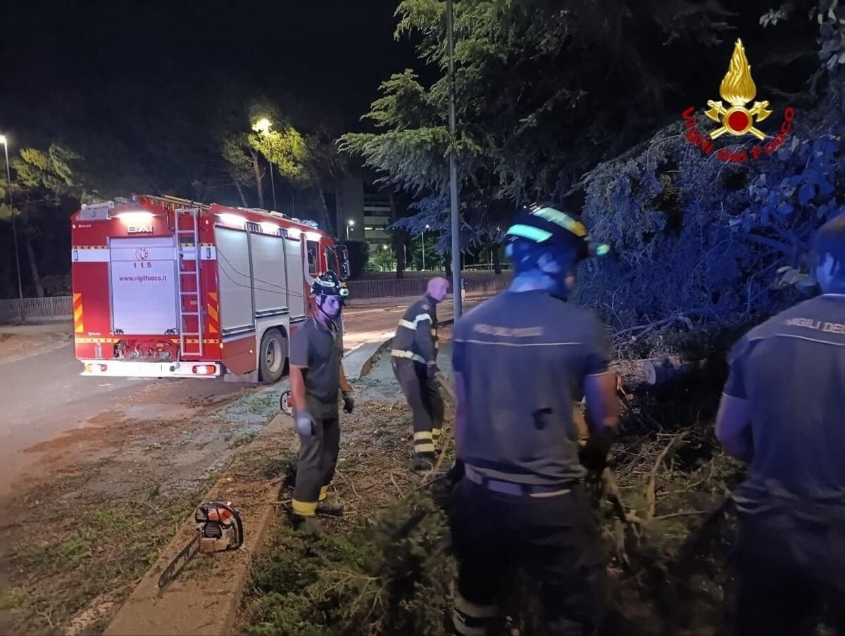 Fortunale nel Forlivese, notte di lavoro per i Vigili del fuoco: già oltre 100 interventi