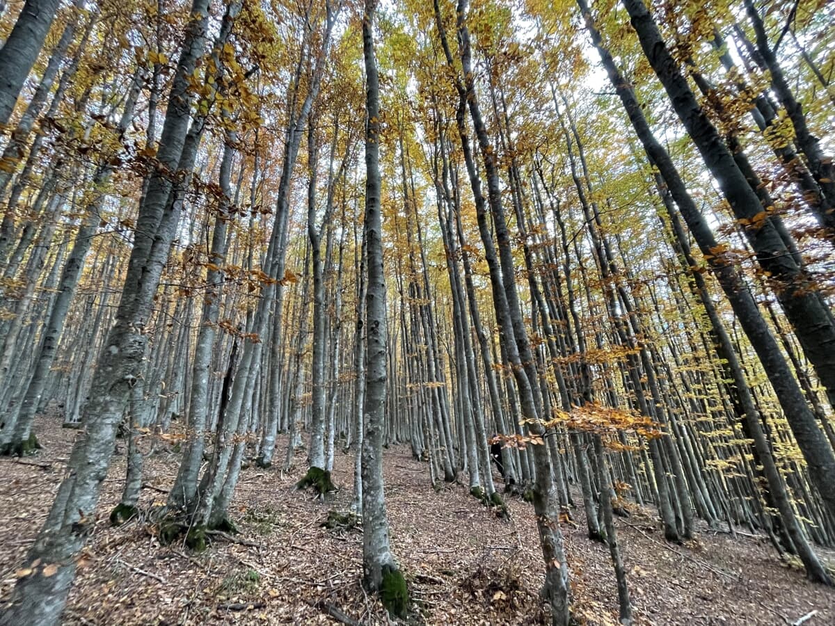 Due turisti francesi perdono l'orientamento nel parco nazionale, ritrovati e riportati in paese