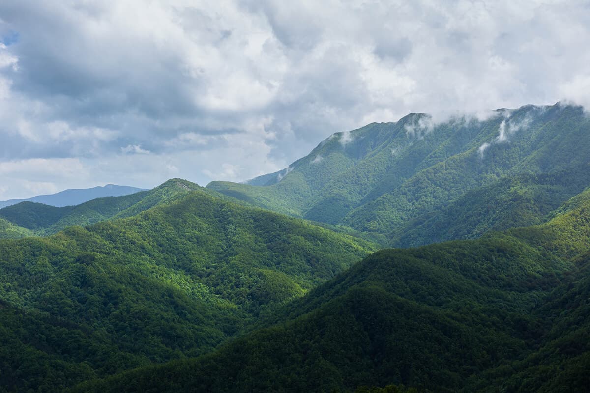 Riordino istituzionale, il Parco delle Foreste Casentinesi lancia la sfida: "Un unico interlocutore per il patrimonio"