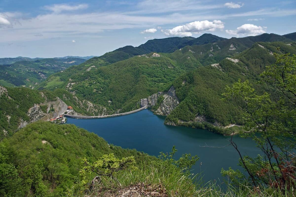 Parco Foreste Casentinesi, la presidente Mazzoli: "Non sorgerà nessuna nuova diga, circolano disinformazioni"