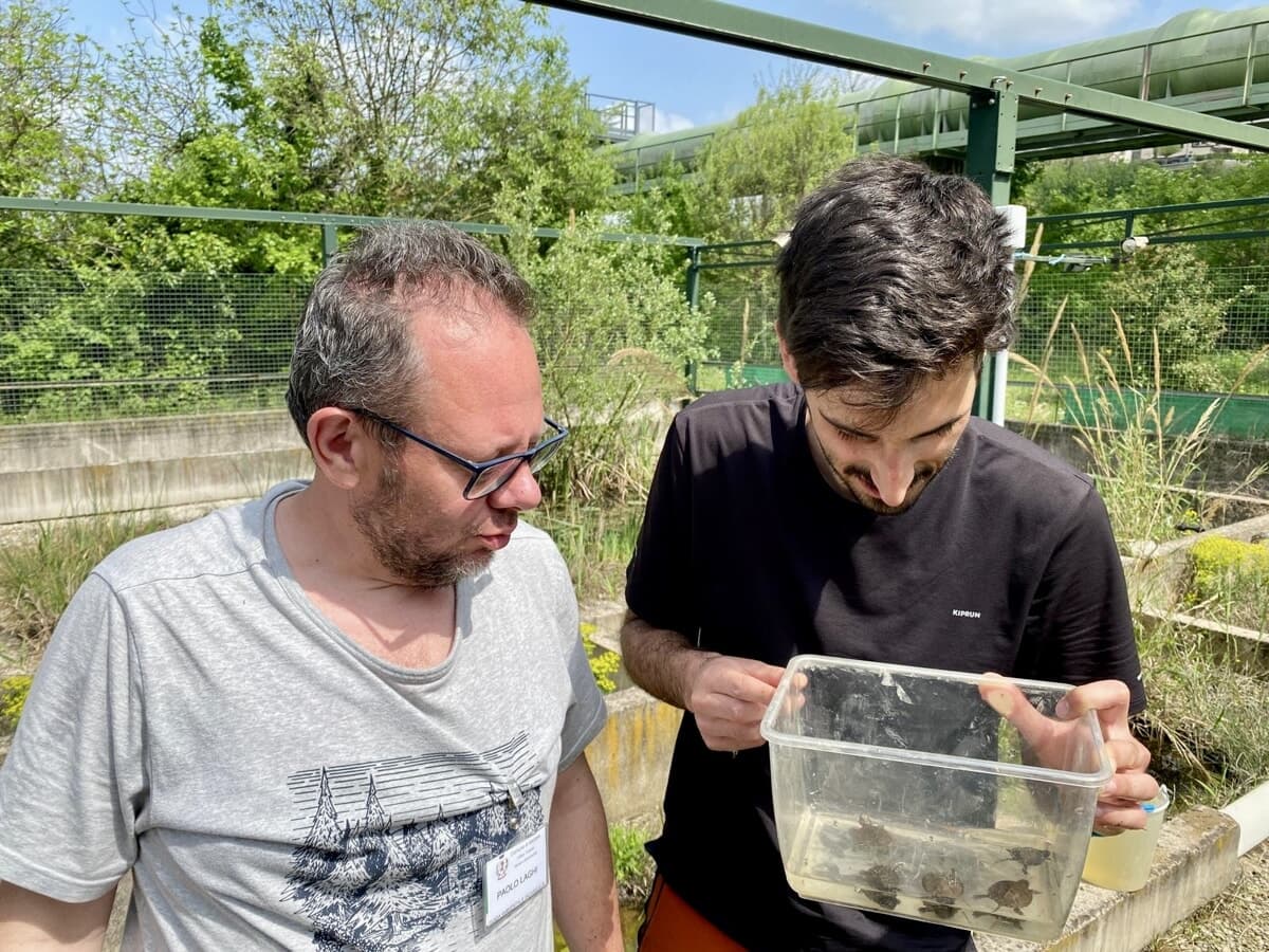 Dall’alluvione alla vita, il miracolo della biodiversità: nate 10 testuggini palustri al Parco delle Fonti