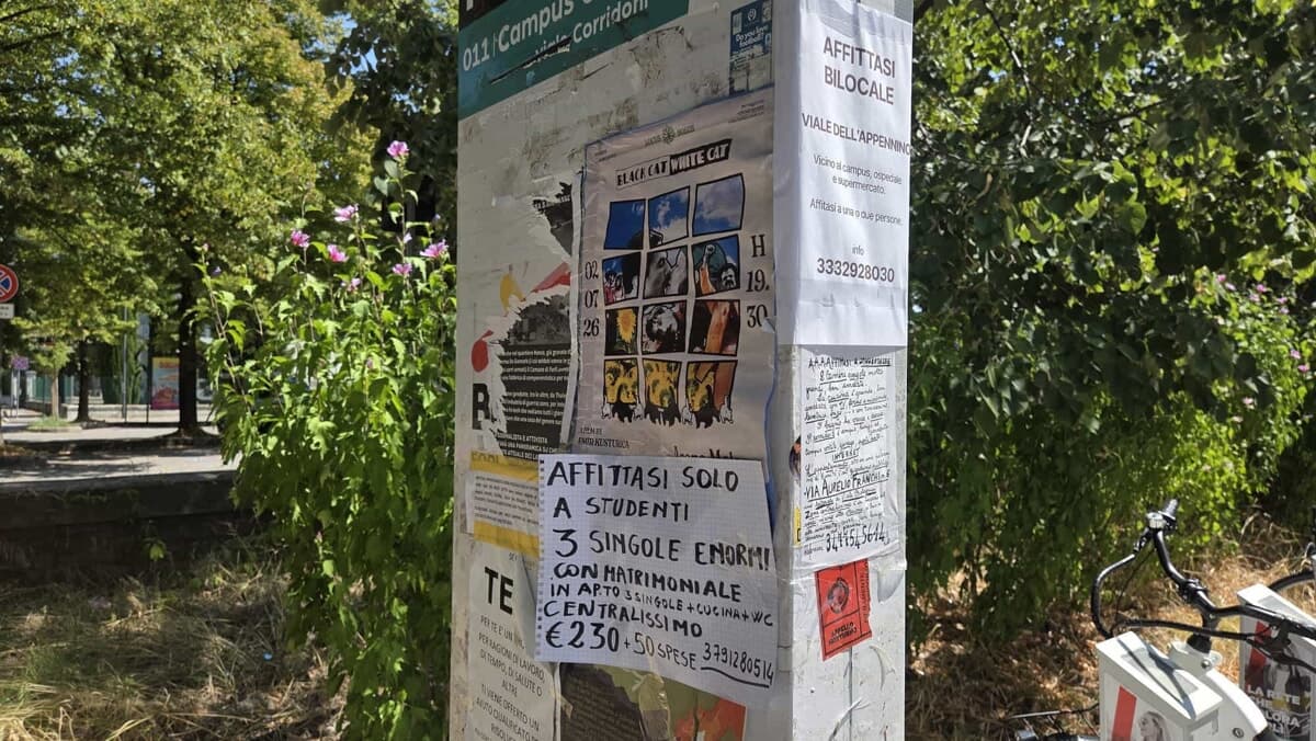 Quanto costa vivere in affitto in Romagna: guida ai prezzi al metro quadro città per città