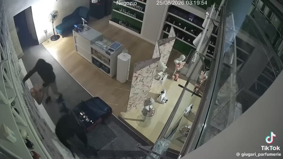 Spaccano la vetrina, riempiono una valigia di profumi e si danno alla fuga: le immagini del furto in centro
