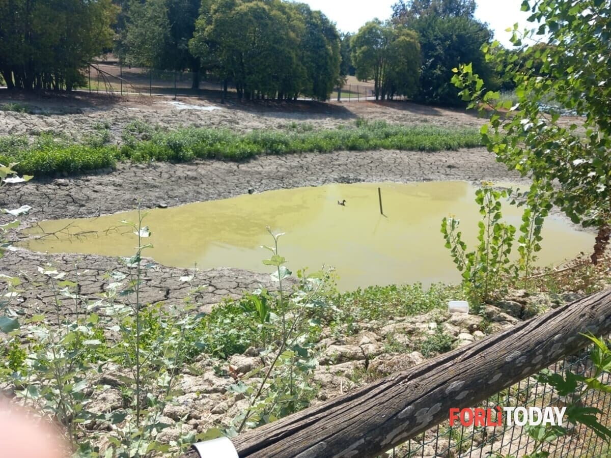 Parco urbano, è il momento del cantiere della rinascita: consegnati i lavori da quasi 2,5 milioni