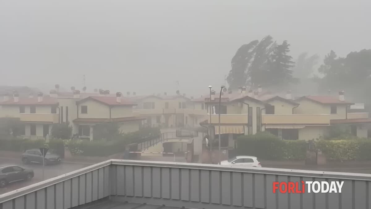 Dieci minuti di tempesta su Forlì, raffiche di vento oltre i 100 km/h: strage di alberi e danni