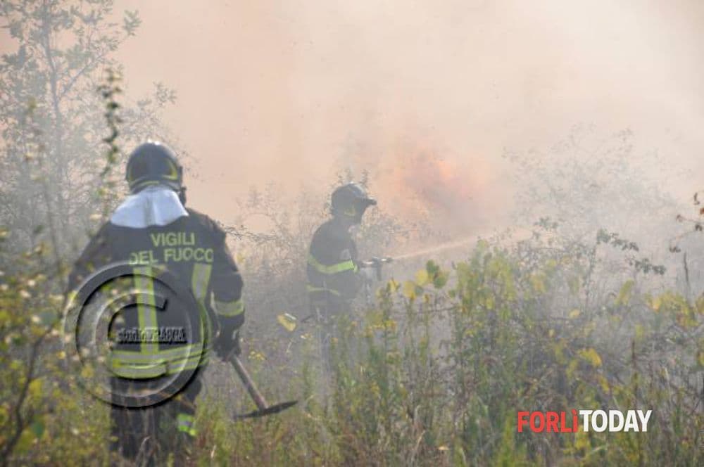 Rischio incendi in Emilia-Romagna, prosegue la preallerta: cosa è vietato fare e quali sono le sanzioni