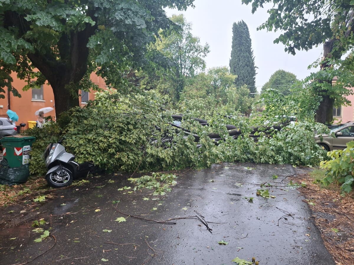 Cosa ha innescato il fortunale che ha colpito la città: la spiegazione dell'esperto