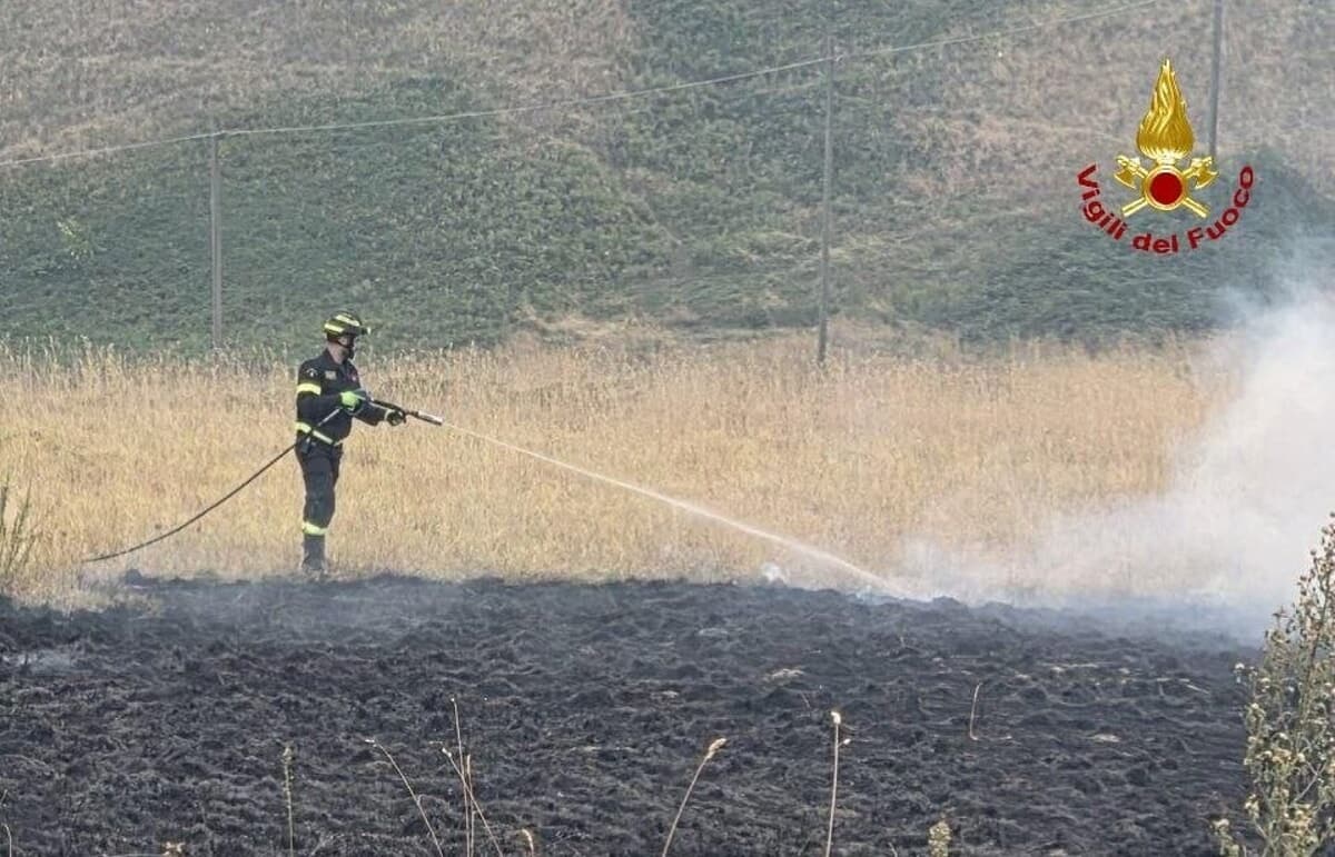 Altri 5 mila metri quadri di vegetazione in fiamme: pronto intervento dei Vigili del fuoco