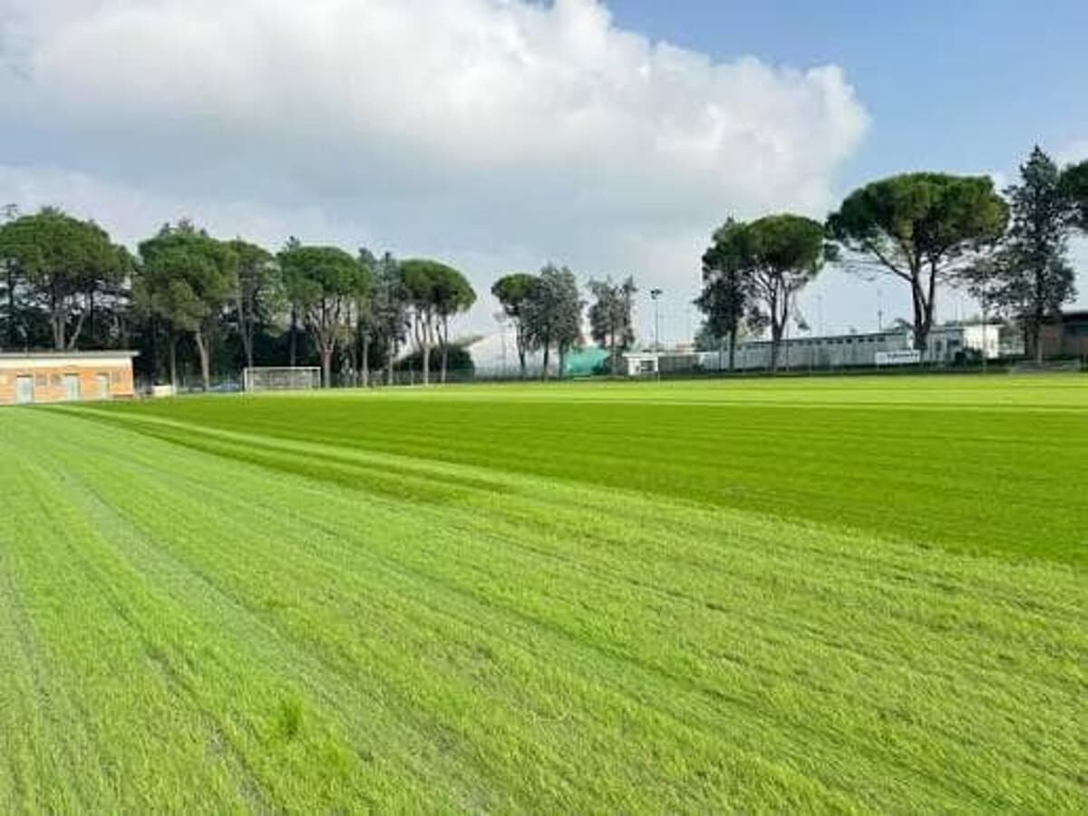 Dai campi alle strutture: 750mila euro per rinnovare lo sport forlivese. "Opportunità da non perdere"