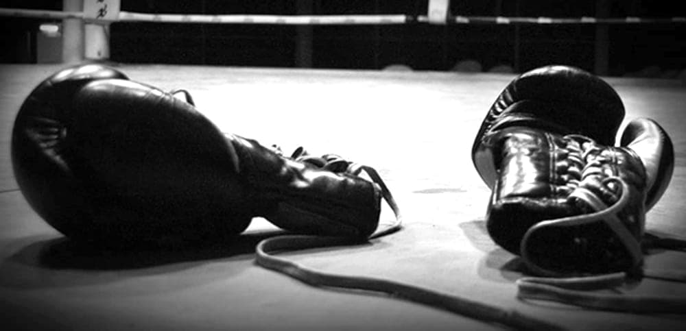 Dodici sfide sul ring per "Pugni e mimose": piazza Saffi si trasforma in un'arena con la quarta edizione di "Boxe sotto le stelle"