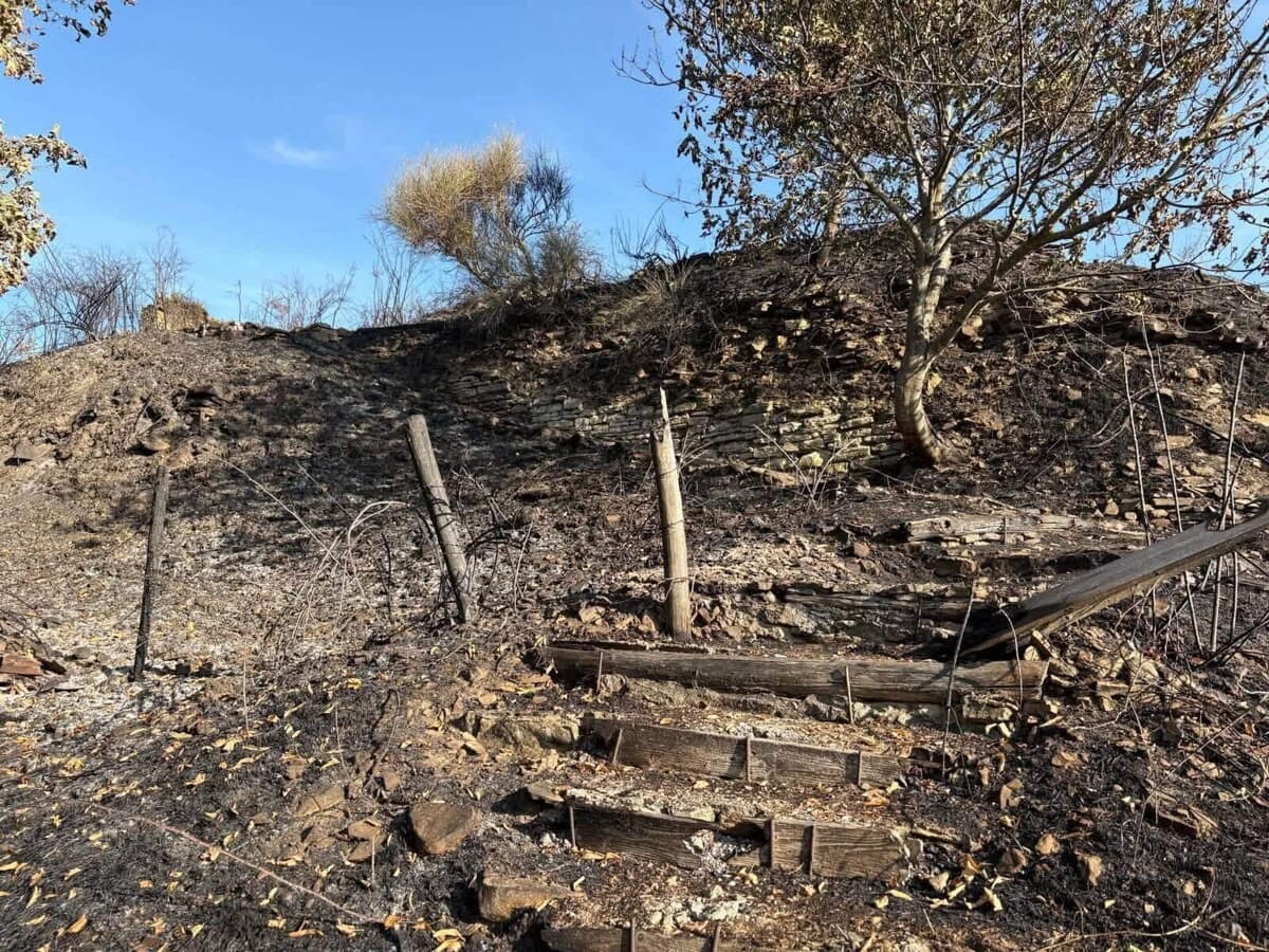 Vietato accendere fuochi e bruciare scarti: è preallarme regionale per gli incendi