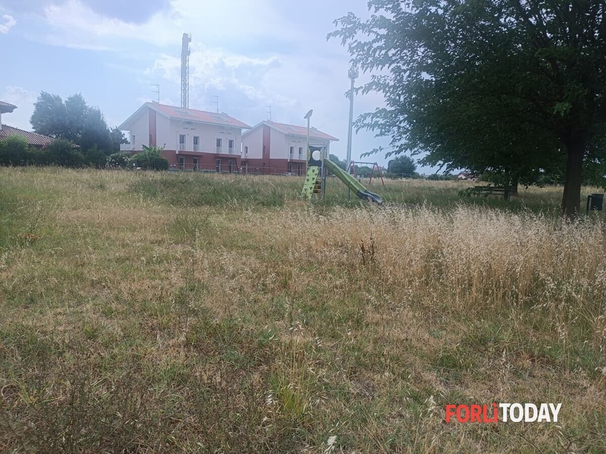 "Erbacce alte nei parchi a San Leonardo in Schiova"