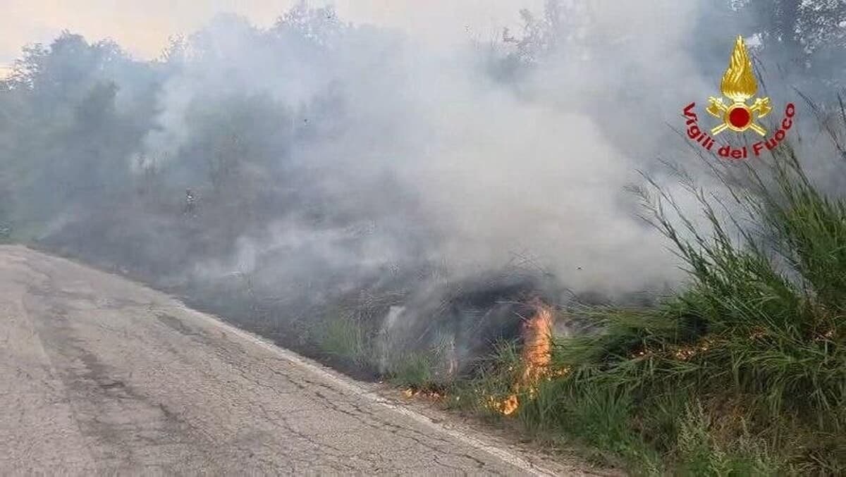 Ancora fiamme nell'entroterra: in fumo oltre 6 mila metri quadrati di vegetazione