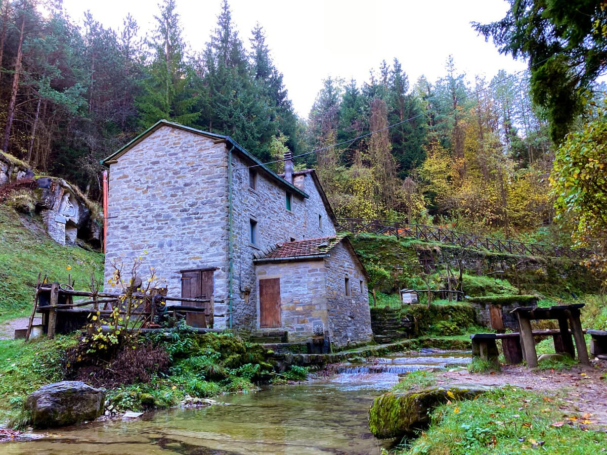 Natura, storia e note d'autore: a Premilcuore una domenica tra il sentiero di Fiumicello e il mulino Mengozzi