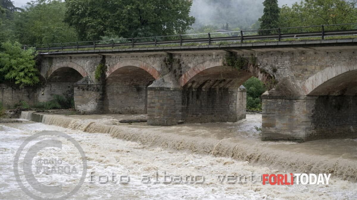 Bidentina, dalla Provincia quasi 1,8 milioni per la sicurezza del ponte: aggiudicato l'appalto