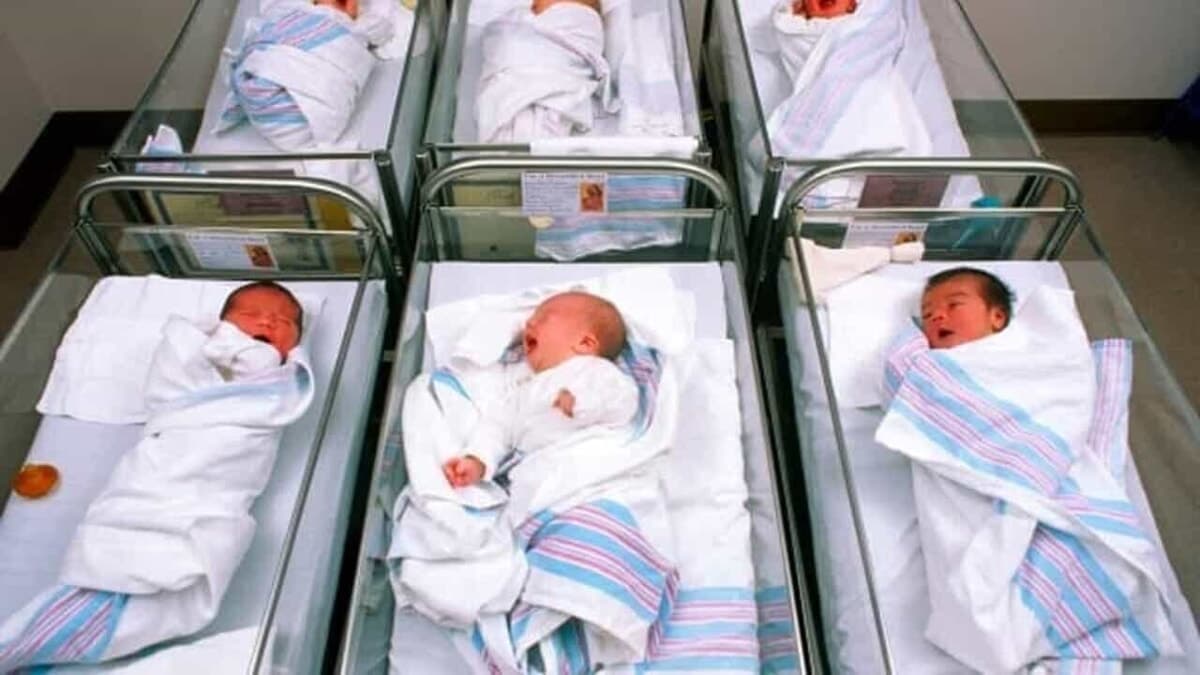 Dal baby boom al crollo delle nascite, "è la battaglia delle battaglie": da Forlì la spinta per la legge regionale