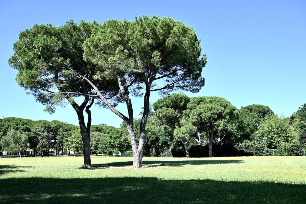 "Cresce la paura tra il K2 e via Caprera: gruppi di maranza prendono di mira i più giovani"