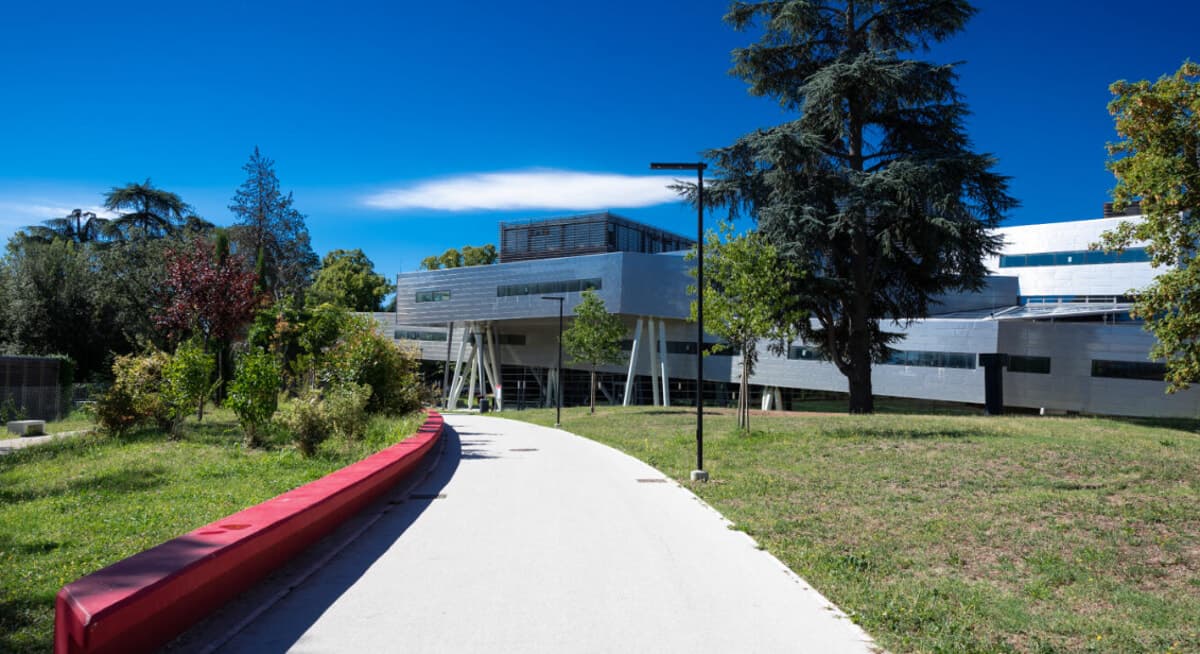 Palazzi, cantieri e milioni: quanto e dove l'Università investe in Romagna