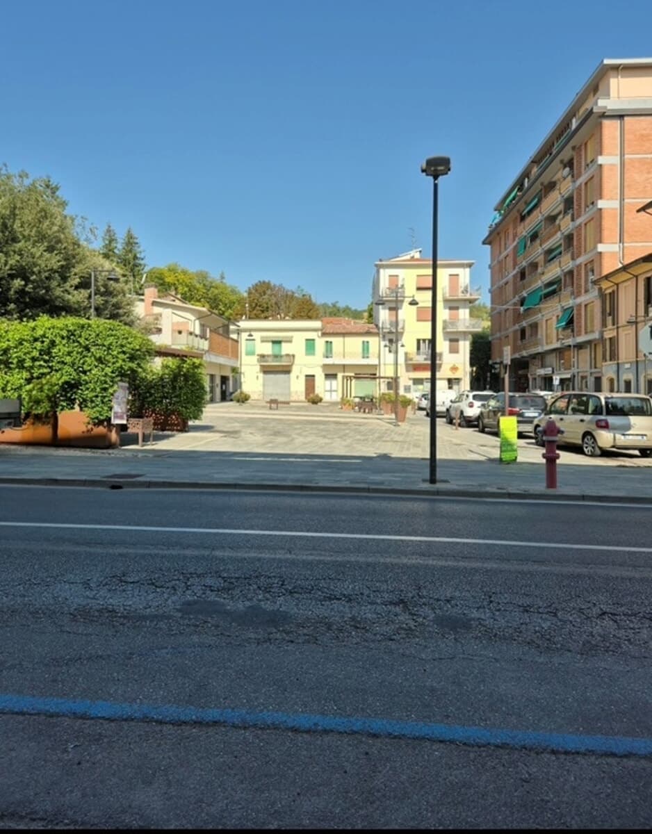 "Ripristinate piazza Mazzini con alberi e verde": gruppo di cittadini presenta una petizione