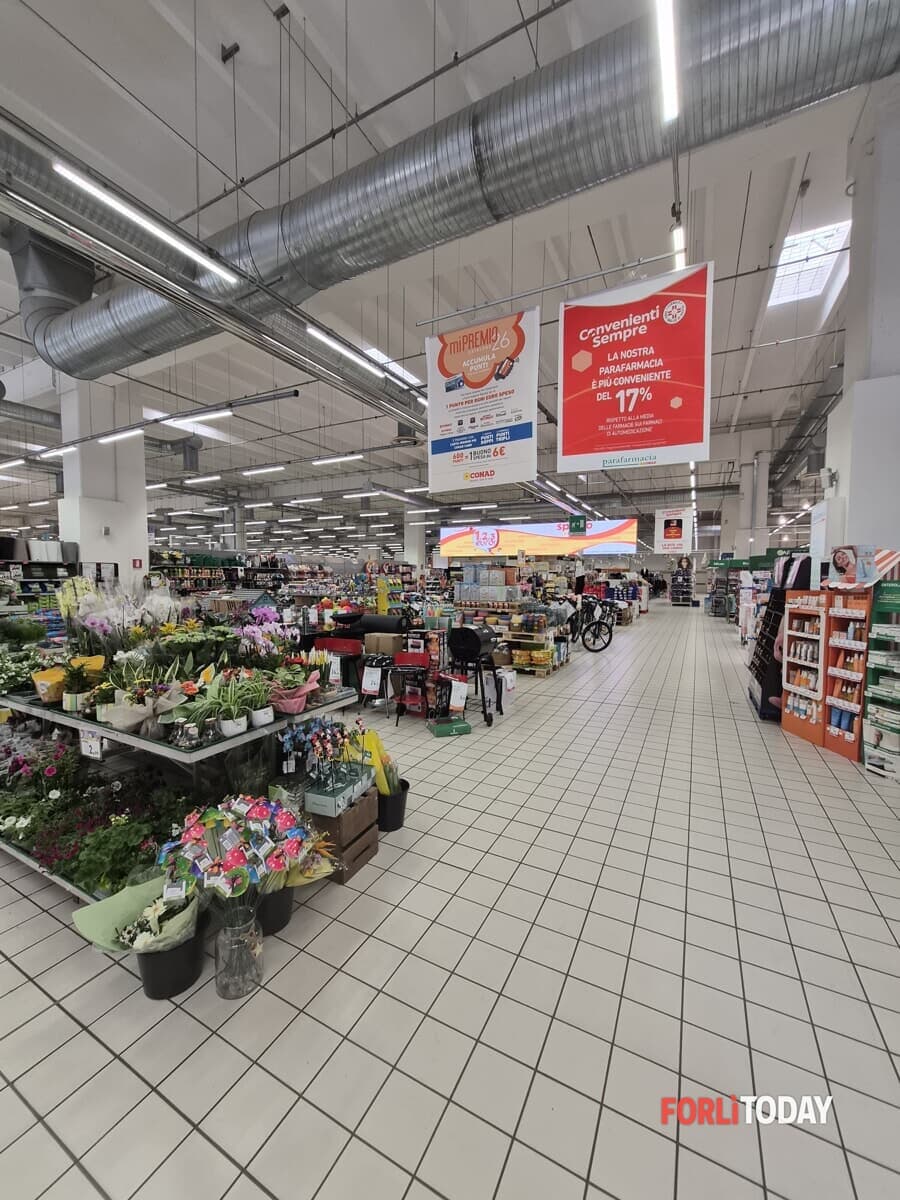 Costo della vita, Forlì-Cesena a metà classifica: stangata da 752 euro a famiglia, ma la ricettività contiene i prezzi