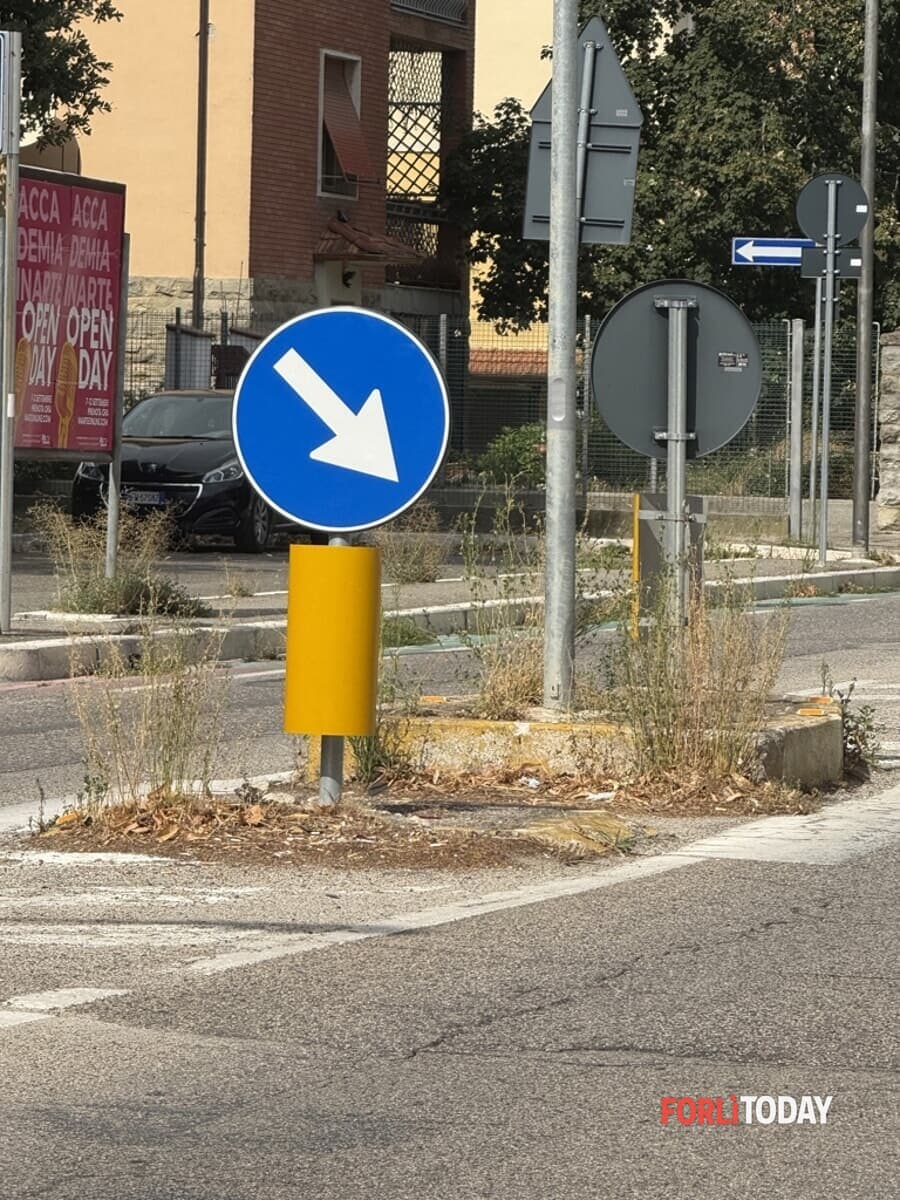 "Forlì città delle erbacce"