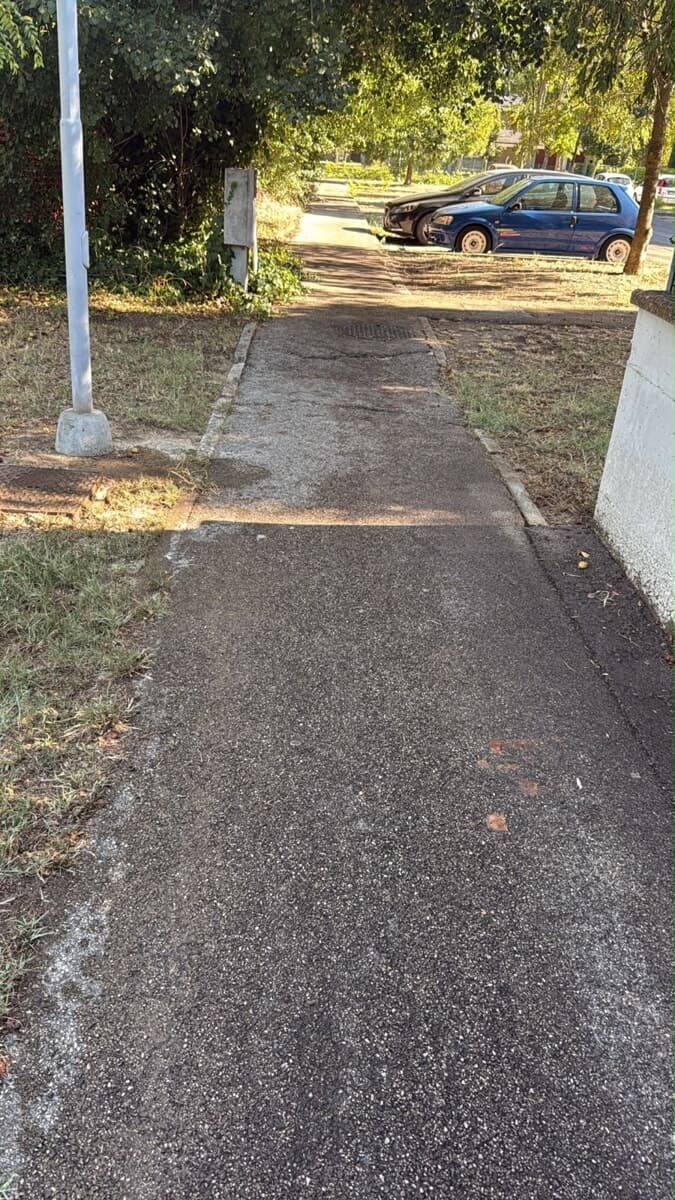 Parcheggio liberato dalle mele cotogne: dopo la segnalazione arriva la pulizia straordinaria di Alea