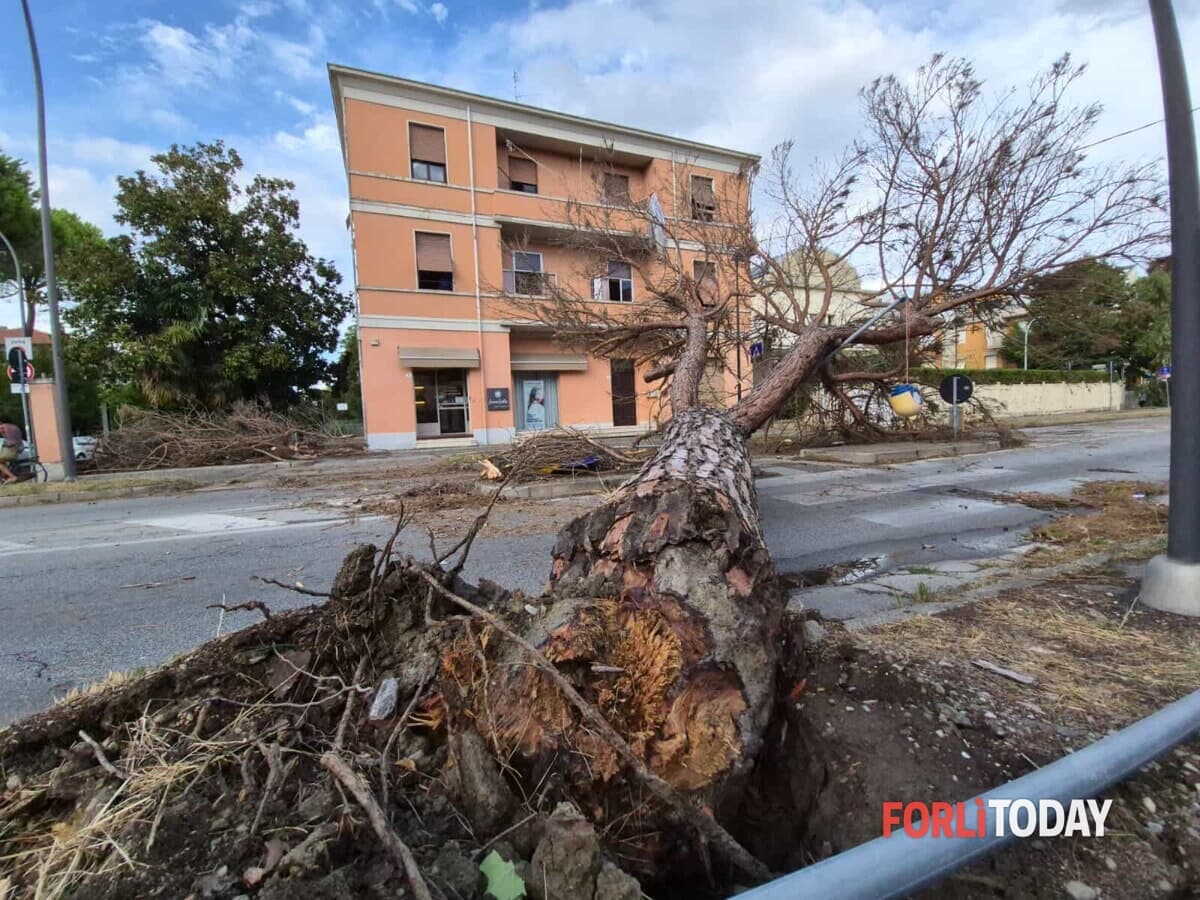 Si allunga l’elenco delle strade chiuse, il Comune: "Massima attenzione alla guida"