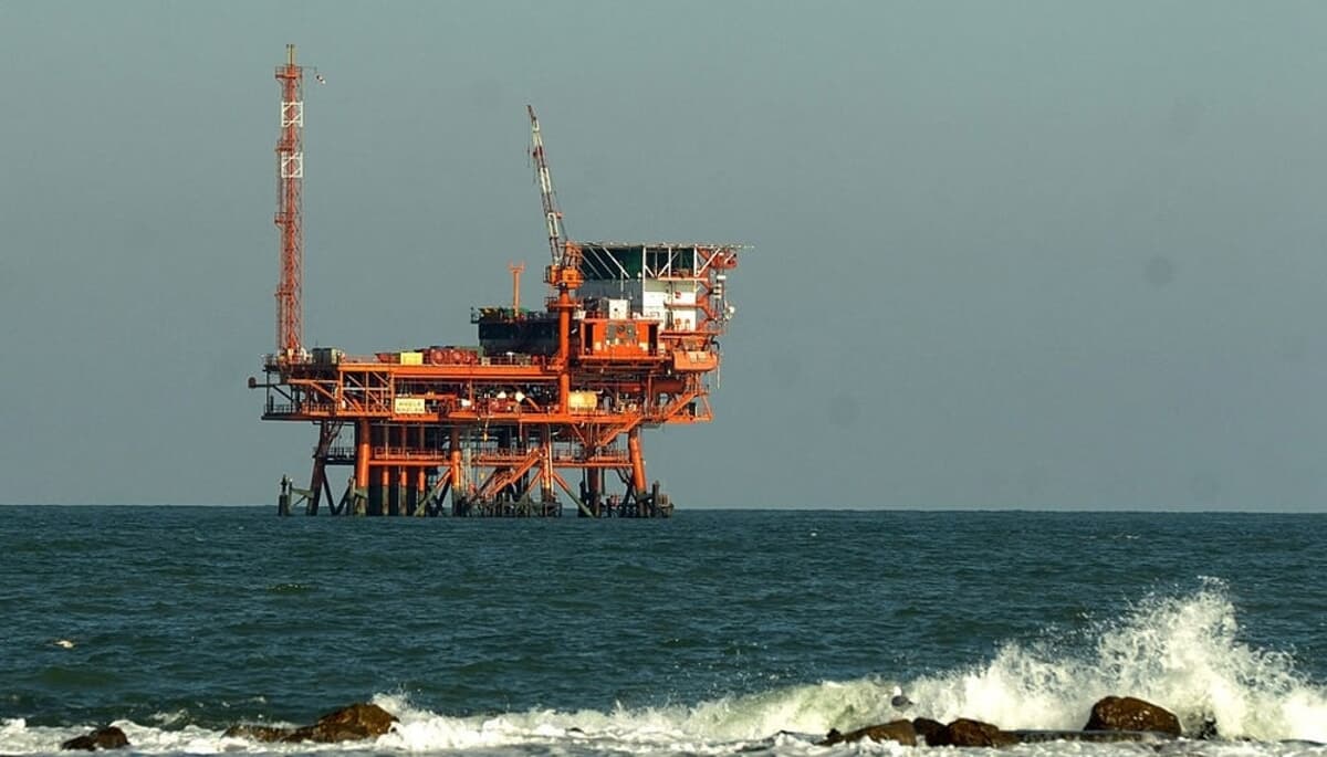 Da ecomostri a oasi protette: perché le 51 trivelle romagnole potrebbero restare in mare (e cosa c'entrano le cozze)