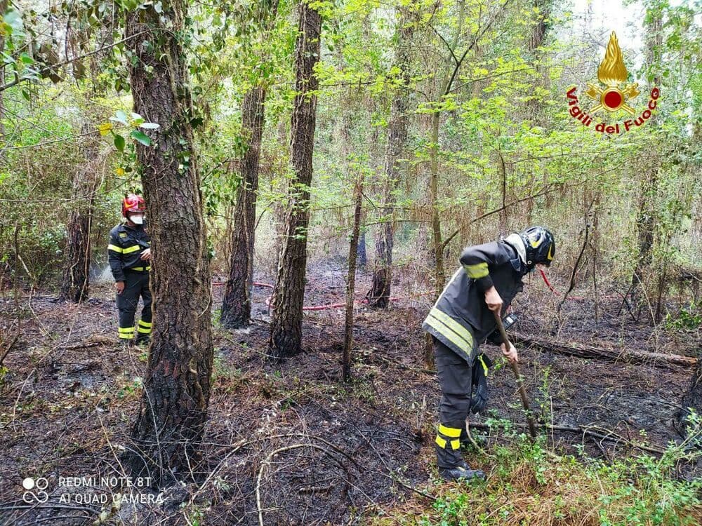 "Stato di grave pericolosità": prorogata la fase di preallarme per incendi boschivi