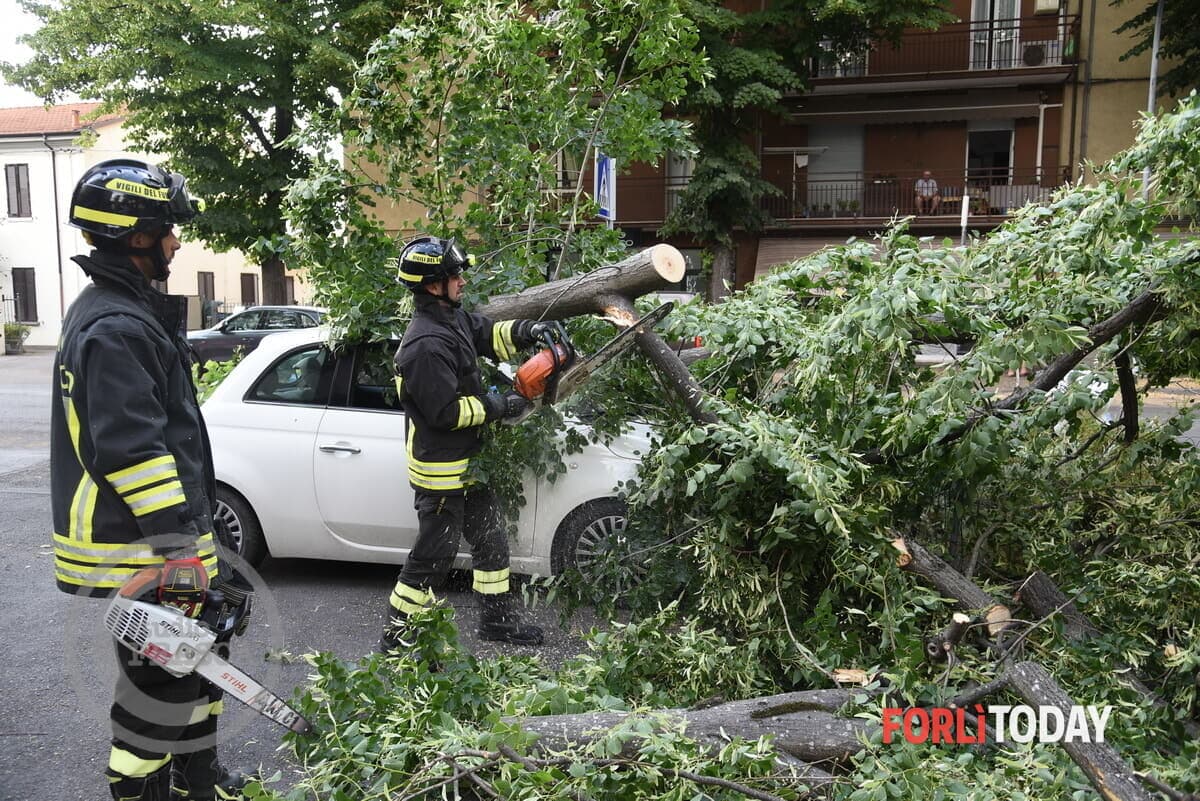 Raffiche di vento oltre i 60 km/h, alberi e rami caduti: “Nessun ferito”