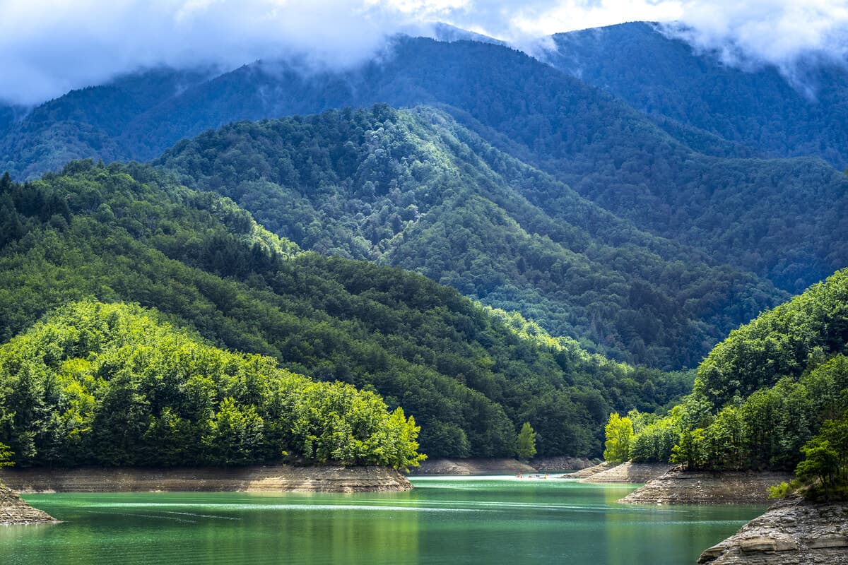 Parco delle Foreste Casentinesi, Legambiente alza il muro: "Subito il divieto di grandi derivazioni sul Bidente"