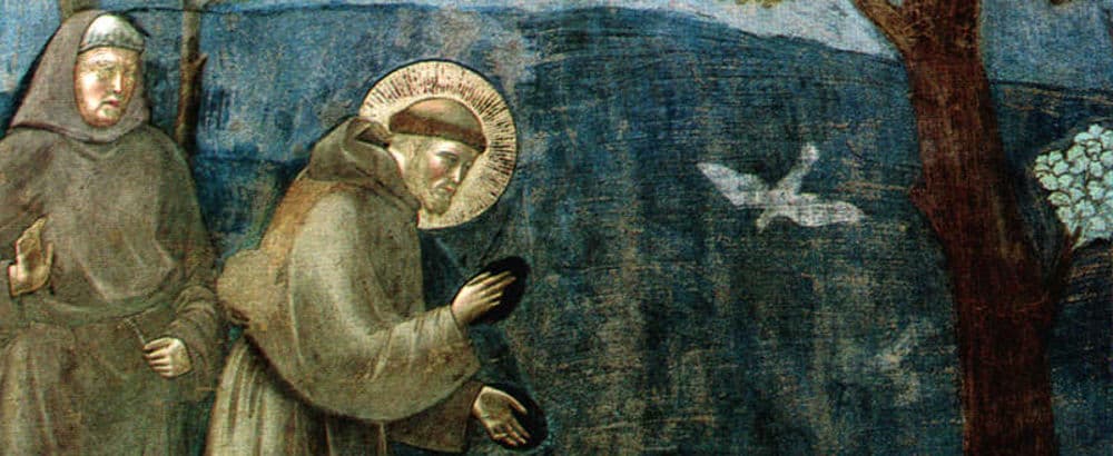 San Francesco 1226-2026: a Terra del Sole una mostra celebra gli 800 anni del Santo