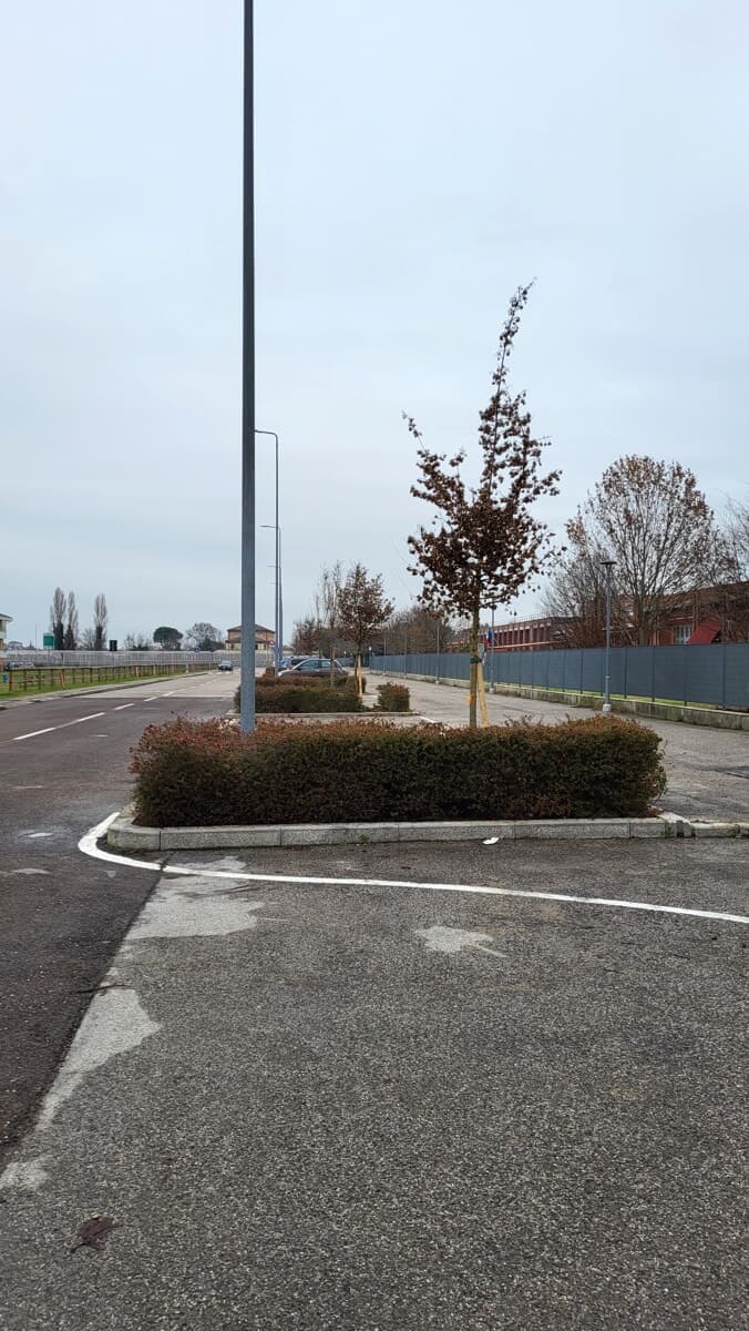Da Galeata parte la nuova spinta al verde regionale: al via la campagna "Mettiamo radici per il futuro"