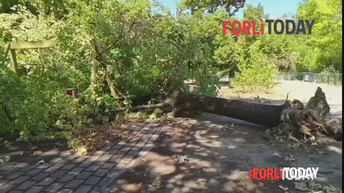 Un mese dopo il fortunale riapre il parco della Resistenza: "Distrutti anche i giochi, saranno sostituiti"