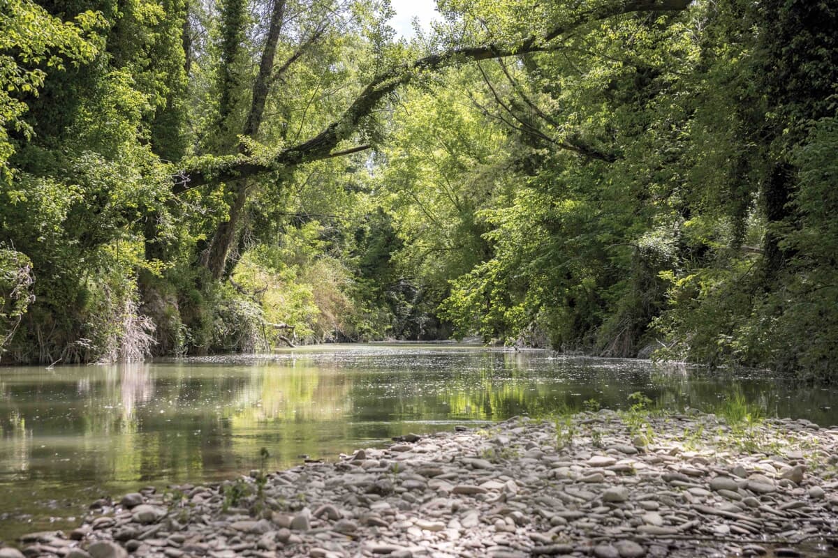 Fiume Ronco, cassa di espansione nell'ex cava: lavori al via nella primavera 2027