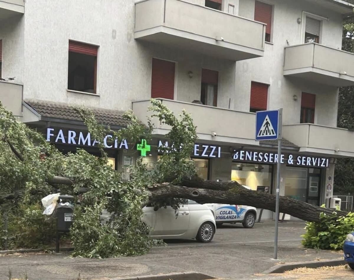 Vento forte, albero crolla su un’auto in sosta. La telefonata annuncia forti temporali: "Massima attenzione e ridurre gli spostamenti"