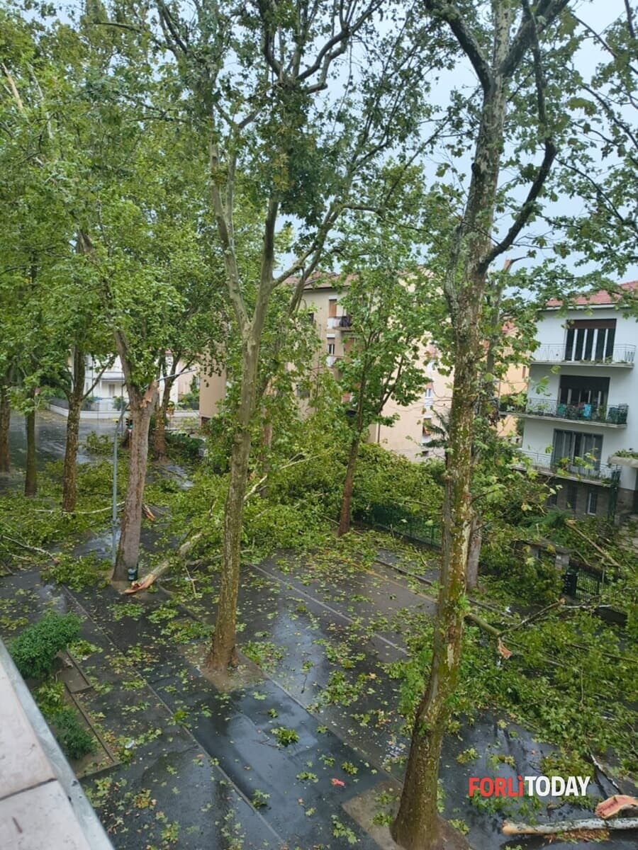 Viale Spazzoli, il passaggio del nubifragio