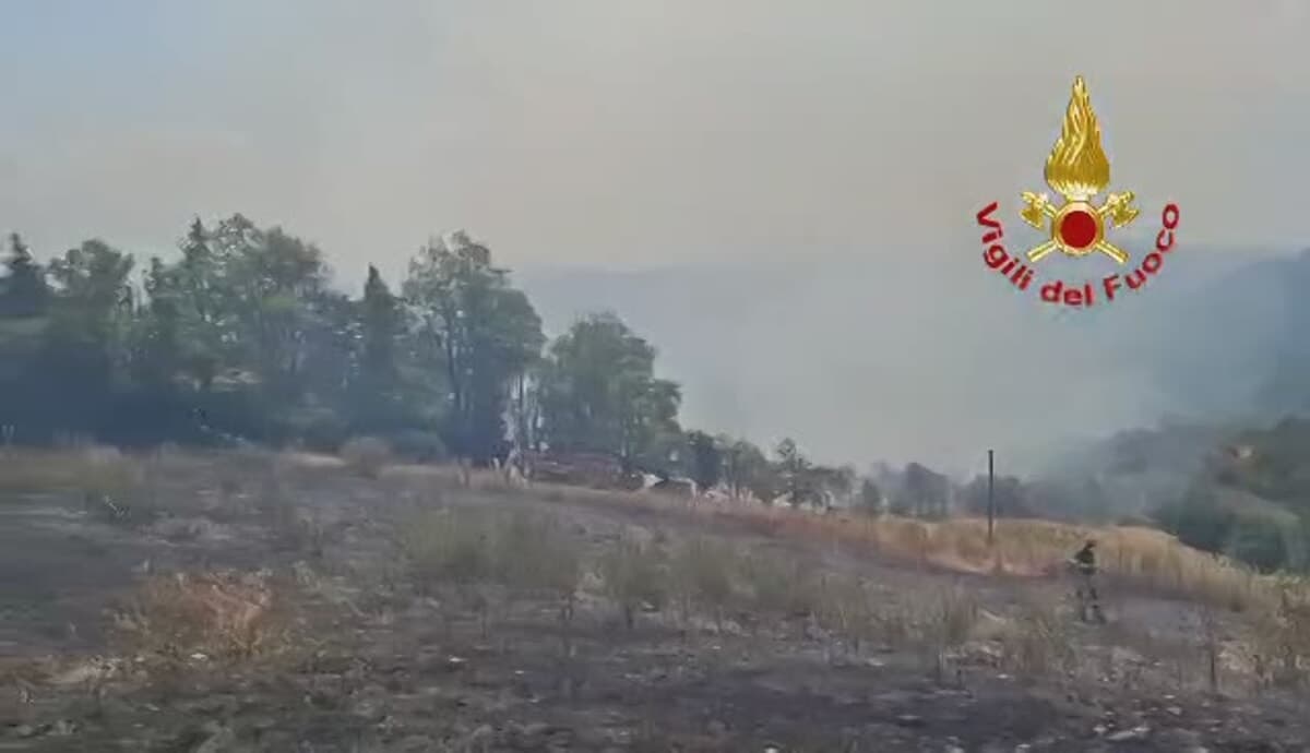 Densa colonna di fumo, vasto incendio boschivo: in azione due mezzi aerei per fermare le fiamme