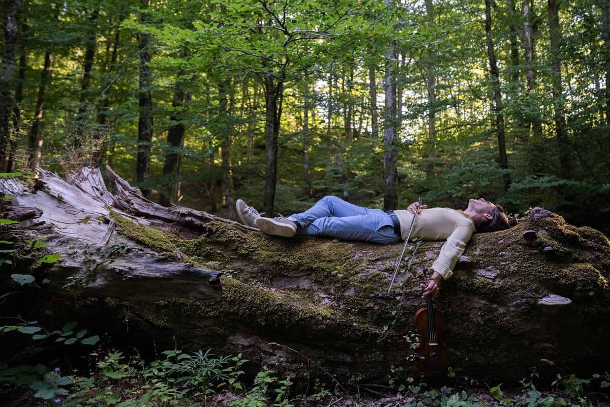 Note di biodiversità con "Armonia della bellezza": così la musica d'autore racconta l'ecosistema delle Foreste Casentinesi