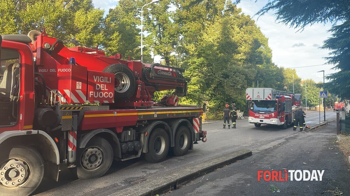 I Vigili del fuoco mettono in sicurezza una pianta in via Solombrini: il video