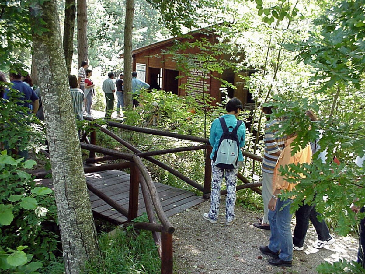 Tradizioni, escursioni e caccia al tesoro botanica: a Campigna torna "Dal bosco al desco"