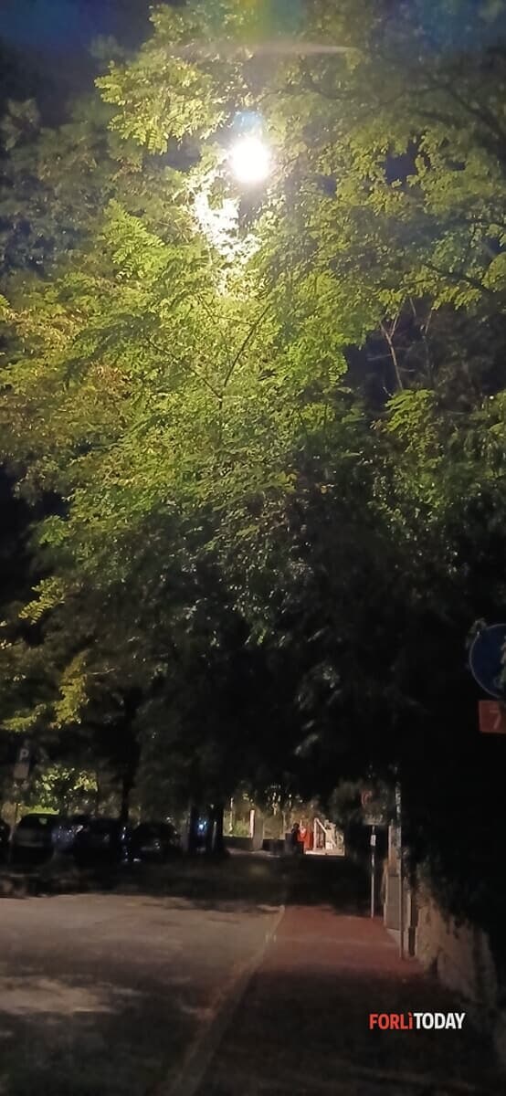 "Illuminazione oscurata dalle fronde degli alberi"