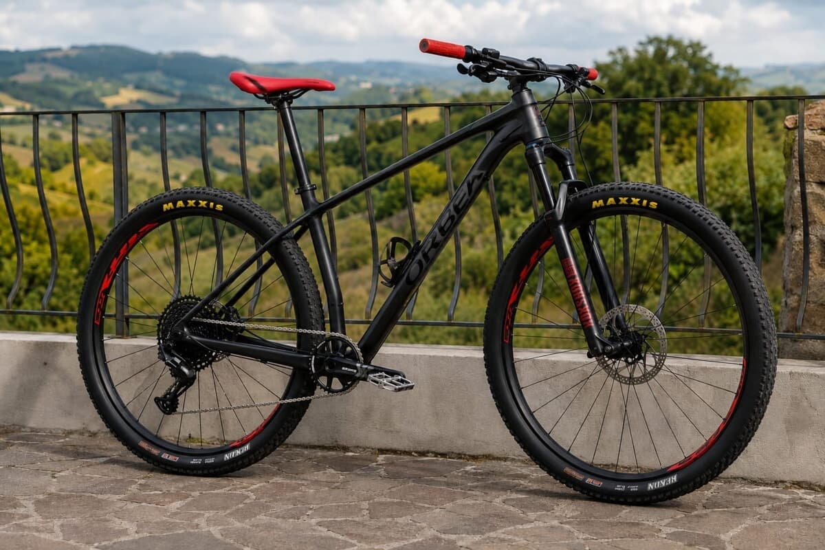 Furto “chirurgico”, entrano nel garage e portano via una bici. “Hanno fatto quello che gli pare”