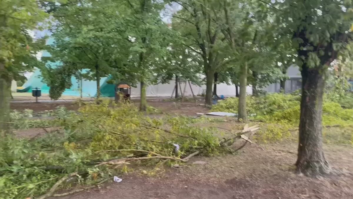 La furia del maltempo si abbatte anche sul Polisportivo di Vecchiazzano: anche qui alberi ko e danni