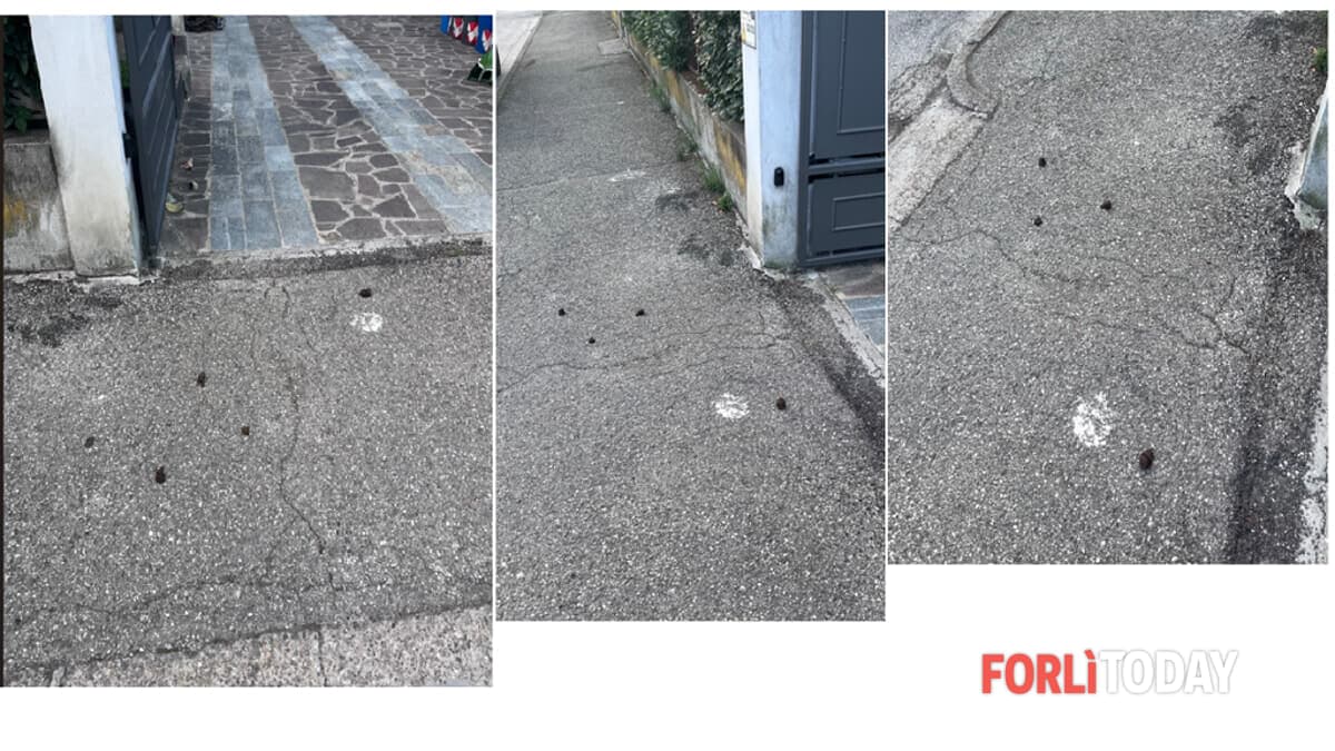 "Feci sul cancello, questo è accanimento"