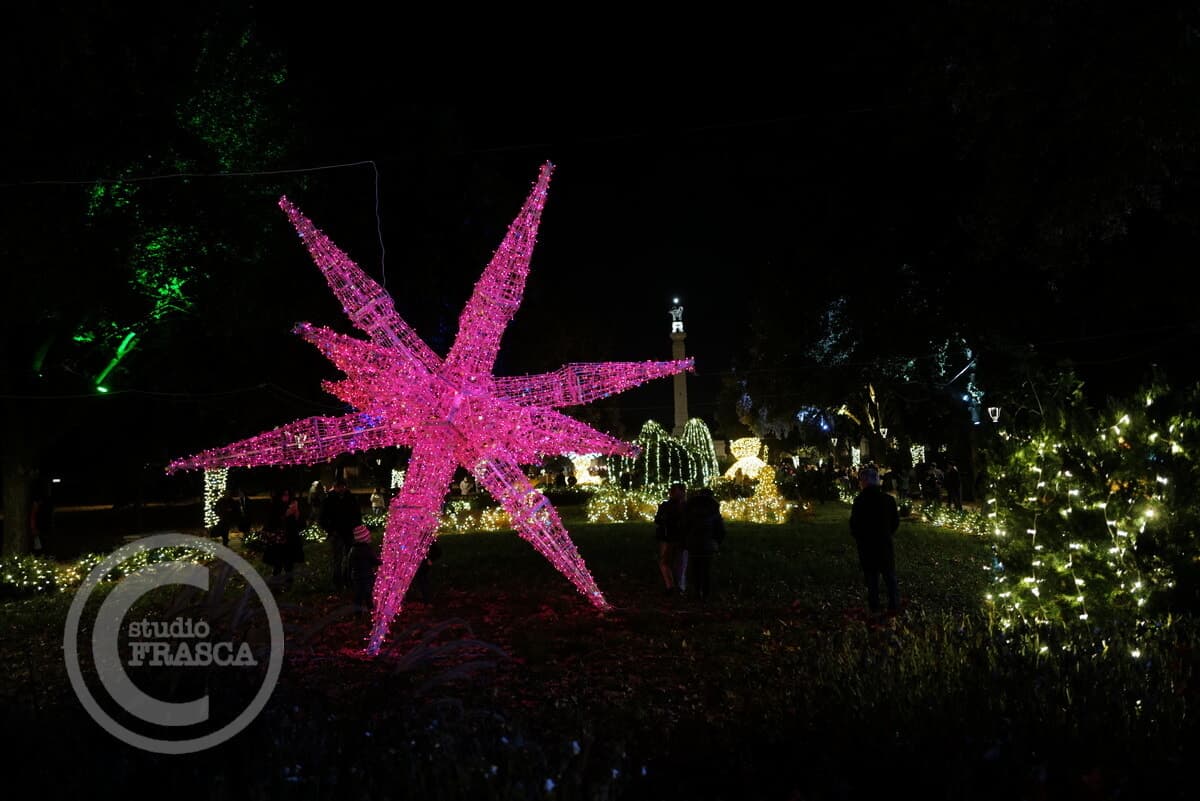 Luminarie, si riaccende la polemica. Il Pd: "La Giunta lancia un messaggio inaccettabile"