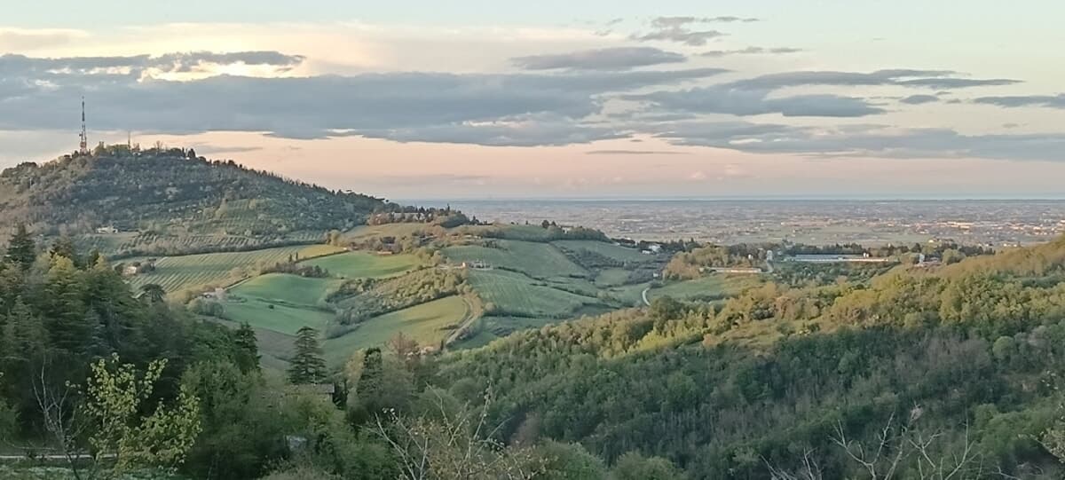 Storie di vendemmia e canti tra i filari: un'escursione al tramonto con cena
