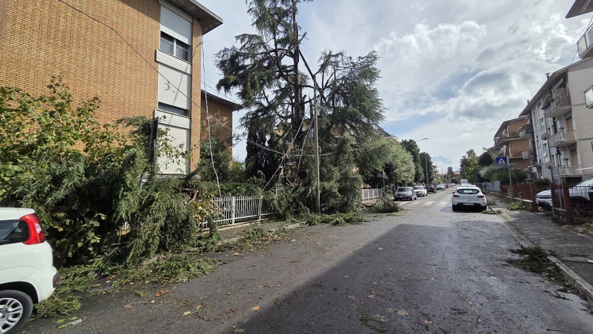 Linee elettriche crollate in via Marcianò