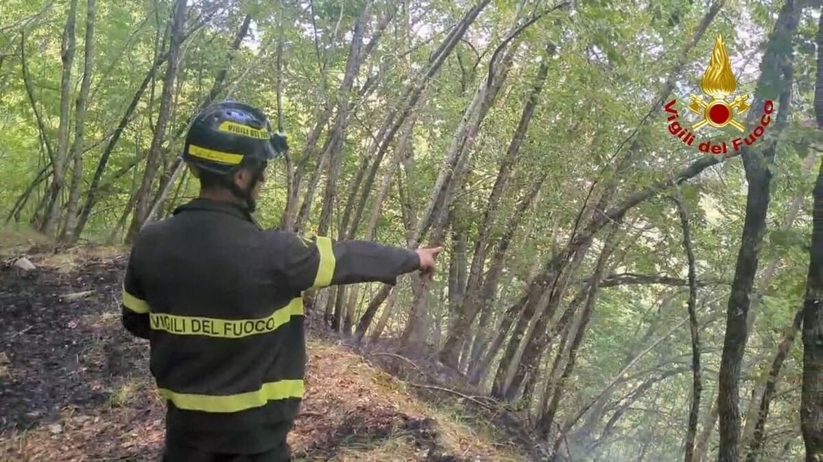 Rischio incendi, preallarme prorogato: ecco i comportamenti vietati e i consigli utili