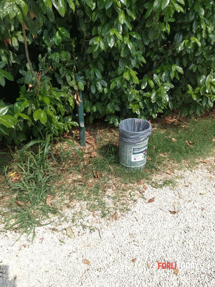 "Sporcizia nel parco di fronte al cimitero monumentale"